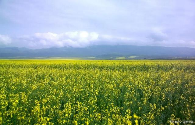 新疆自助游攻略(新疆旅游必去十大景点)